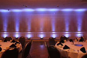 Uplighting Color #10 (Red & White)