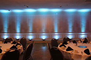 Uplighting Color #12 (Blue, Green & White)