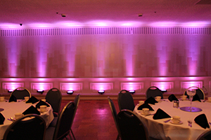 Uplighting Color #13 (Red, Blue & White)
