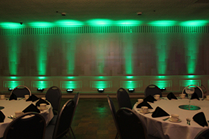 Uplighting Color #2 (Green)
