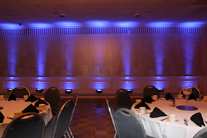 Uplighting Color #3 (Blue)
