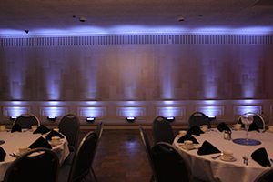 Uplighting Color #4 (White)