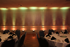 Uplighting Color #5 (Green & Red)