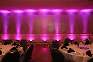 Uplighting Color #6 (Red & Blue)