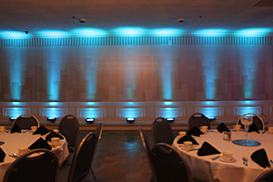 Uplighting Color #8 (Blue & Green)