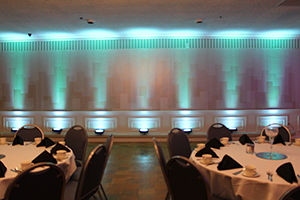 Uplighting Color #9 (Green & White)